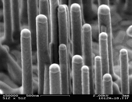 ZnO pillars grown on a heated Au film. The catalyst alloy consisting  of Au and Zn can be clearly seen as droplet-like structure on top of each pillar