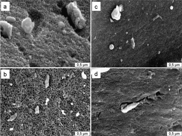 Grafik konnte nicht angezeigt werden (SEM Aufnahmen der nanoporsen Goldkatalysatoren)