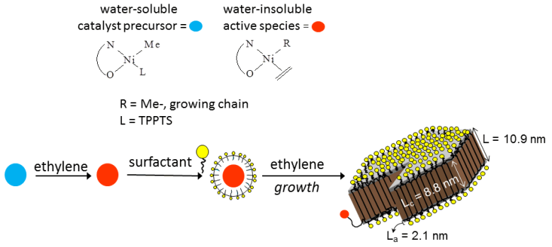 Grafik konnte nicht angezeigt werden (Erzeugung hochkristalliner Teilchen in wässriger Emulsion durch katalytische Polymerisation)