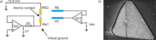 Grafik konnte nicht angezeigt werden (Elektronischer Aufbau; REM-Aufnahme)