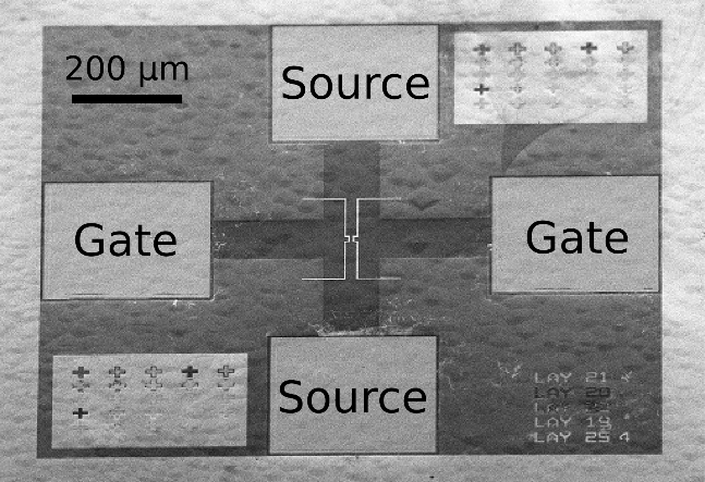 EM image of a Diamond In-Plane-Gate Field-Effect-Transistor